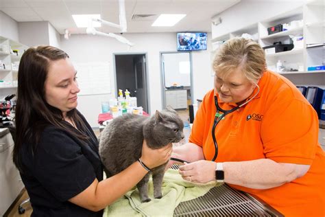 vet training resources|Professional resources for veterinary technicians.